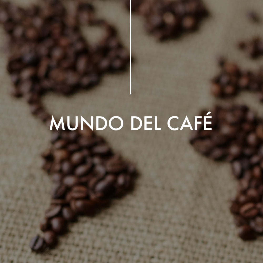 Mundo del Café